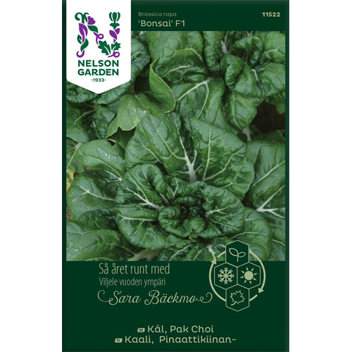 Bonsai F1 - pak choi