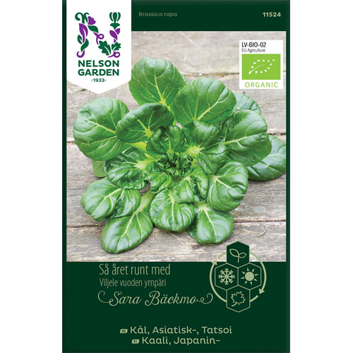 Tatsoi - asiatisk kål organic