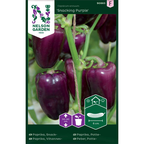 Snacking Purple - snackpaprika