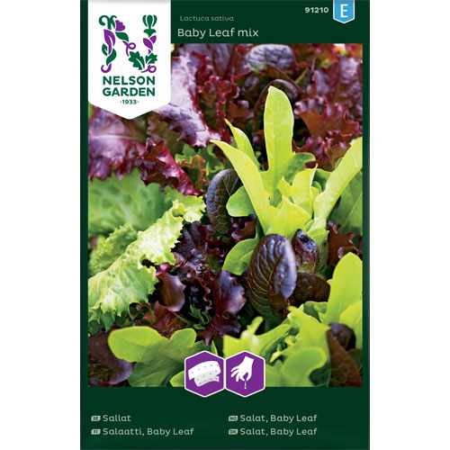 Baby Leaf mix - sallat, baby leaf såband