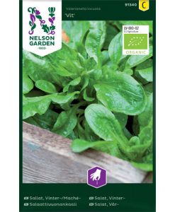 Vit - vintersallat/mâchesallat organic