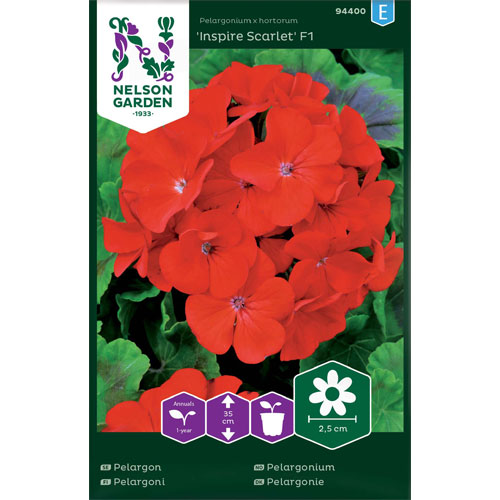 Inspire Scarlet F1 - pelargon