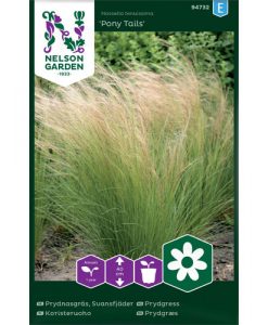 Pony Tails - svansfjädergräs
