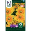 Prairie Sun - sommarrudbeckia