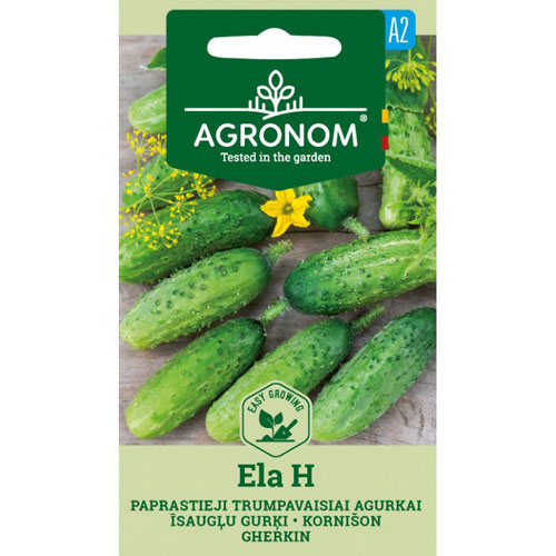 Ela H - frilandsgurka