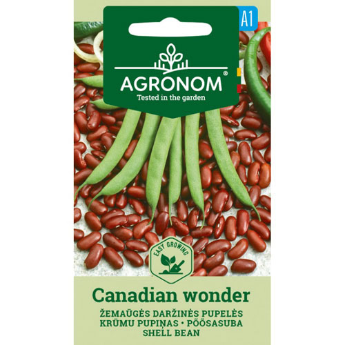 Canadian Wonder - torkböna