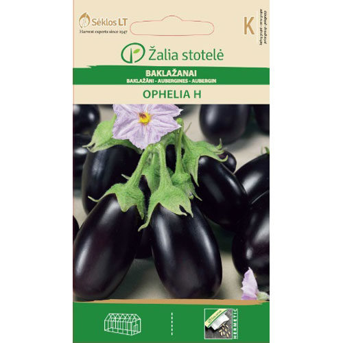 Ophelia H - aubergine | Handla frö online på