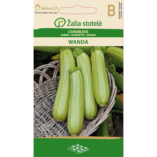 Wanda - squash