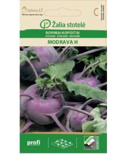 Modrava H - kålrabbi