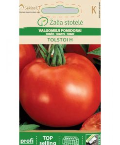 Tolstoi H - tomat