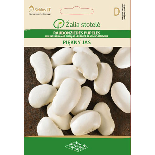 Piękny Jas - rosenböna