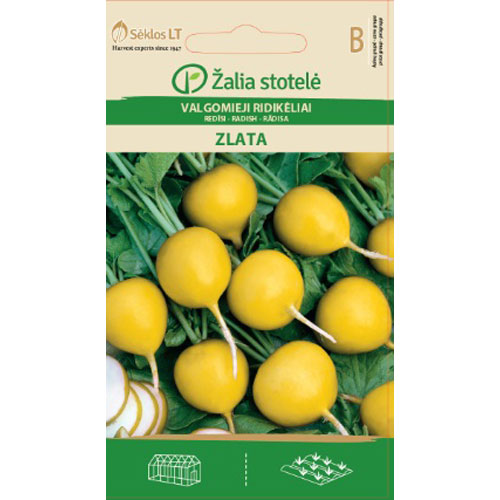 Zlata - rädisa