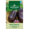 Black Beauty - aubergine