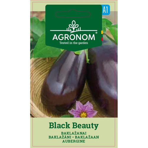 Black Beauty - aubergine