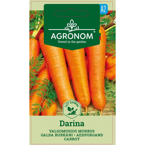 Darina - morot