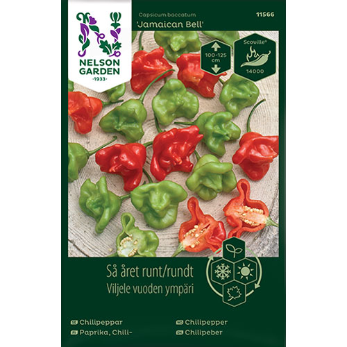 Jamaican Bell - chili