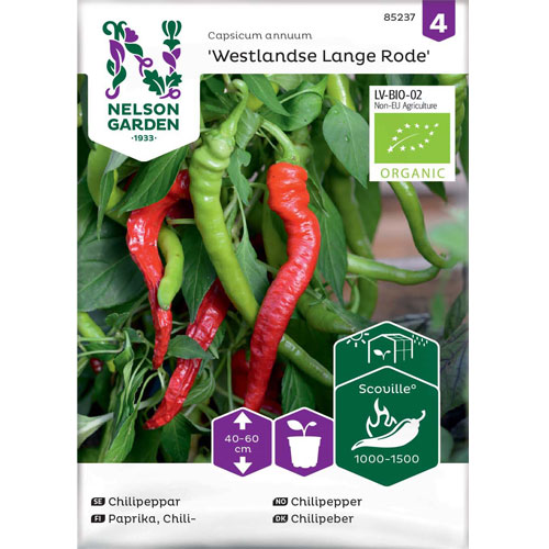 Westlandse Lange Rode - chili