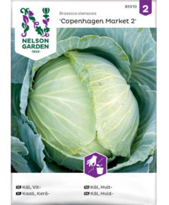 Copenhagen Market 2 - vitkål