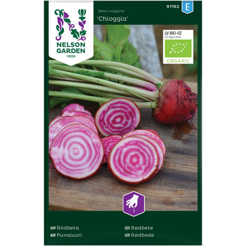 Chioggia - rödbeta / polkabeta organic