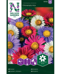 Chinensis mix - sommaraster