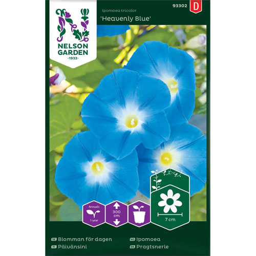 Heavenly Blue - blomman för dagen