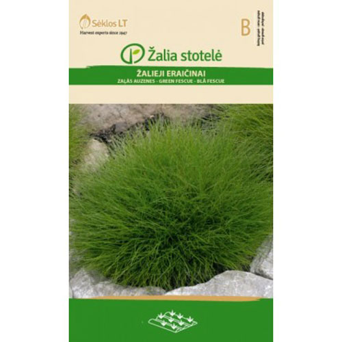 Fescue