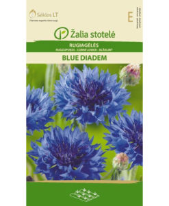 Blue Diadem - blåklint