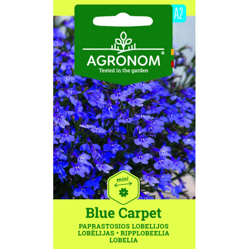 Blue Carpet - hänglobelia