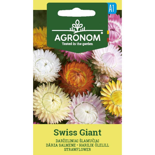 Swiss Giant - jätteeternell