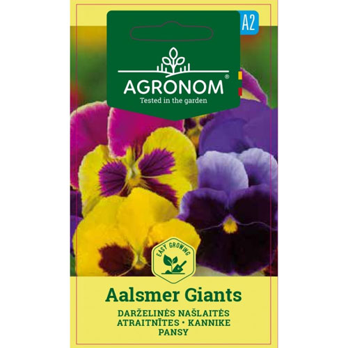 Aalsmer Giants - pensé