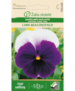 Lord Beaconsfield - pensé