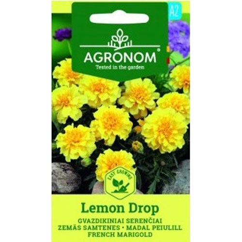 Lemon Drop - sammetstagetes