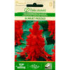 Scarlet Piccolo - praktsalvia