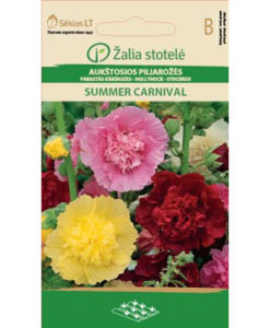 Summer Carnival - stockros