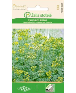 Vinruta