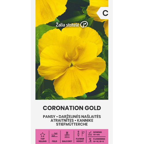 Coronation Gold - pensé