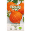 Hokkaido Orange - vintersquash