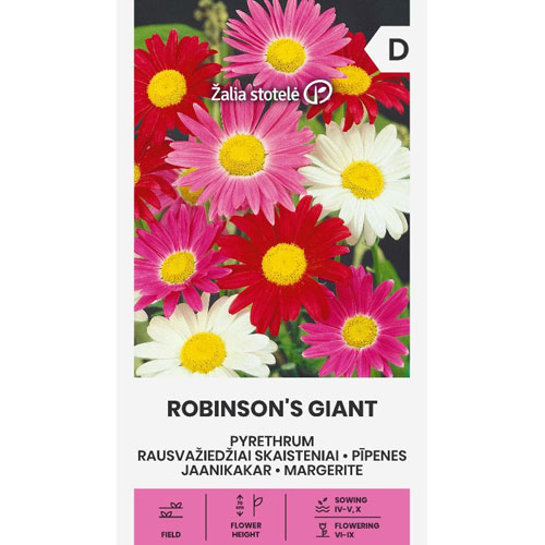 Robinsons Giant - rosenkrage