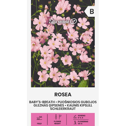 Rosea - sommarslöja