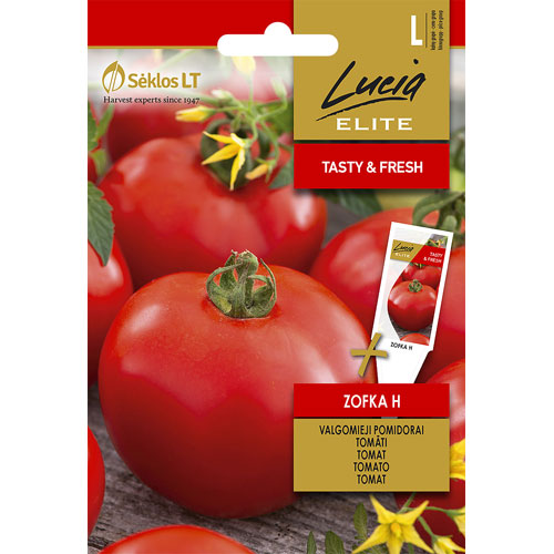 Zofka H - tomat