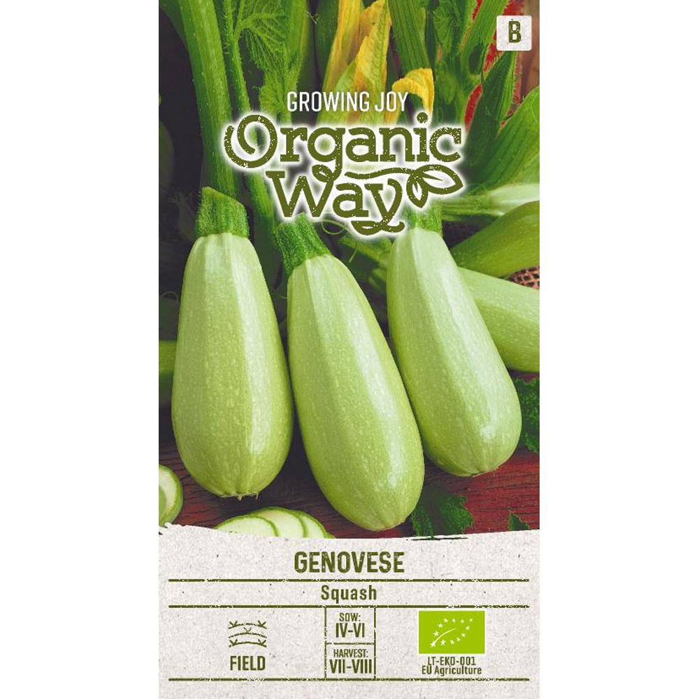Genovese - squash