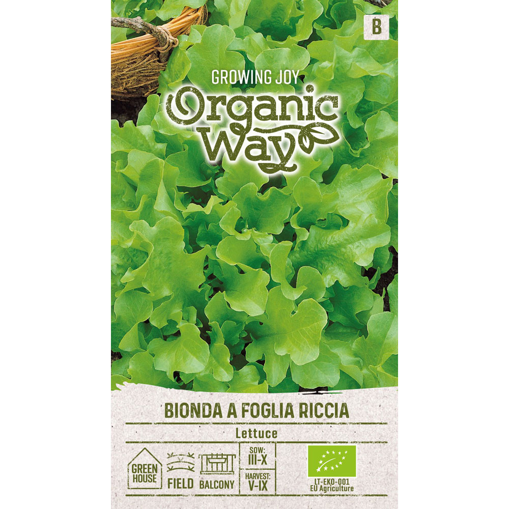 Bionda a Foglia Riccia - plocksallat