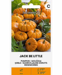 Jack be little - pumpa