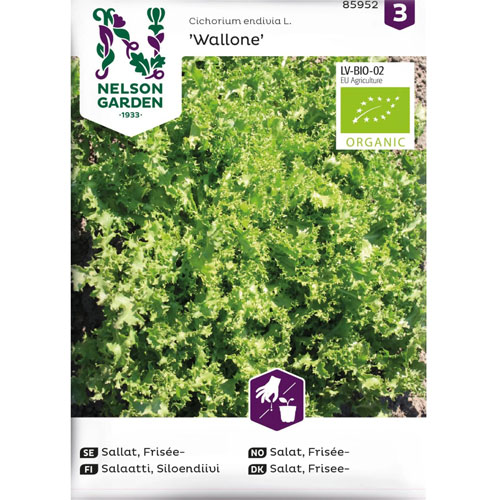 Wallone - friséesallat organic