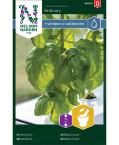 Ordinary - basilika, Harvy