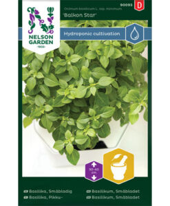 Balkon Star - småbladig basilika, Harvy