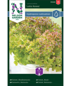 Lollo Rossa - bataviasallat, Harvy