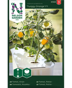 Twiggy Orange F1 - kruktomat, Harvy