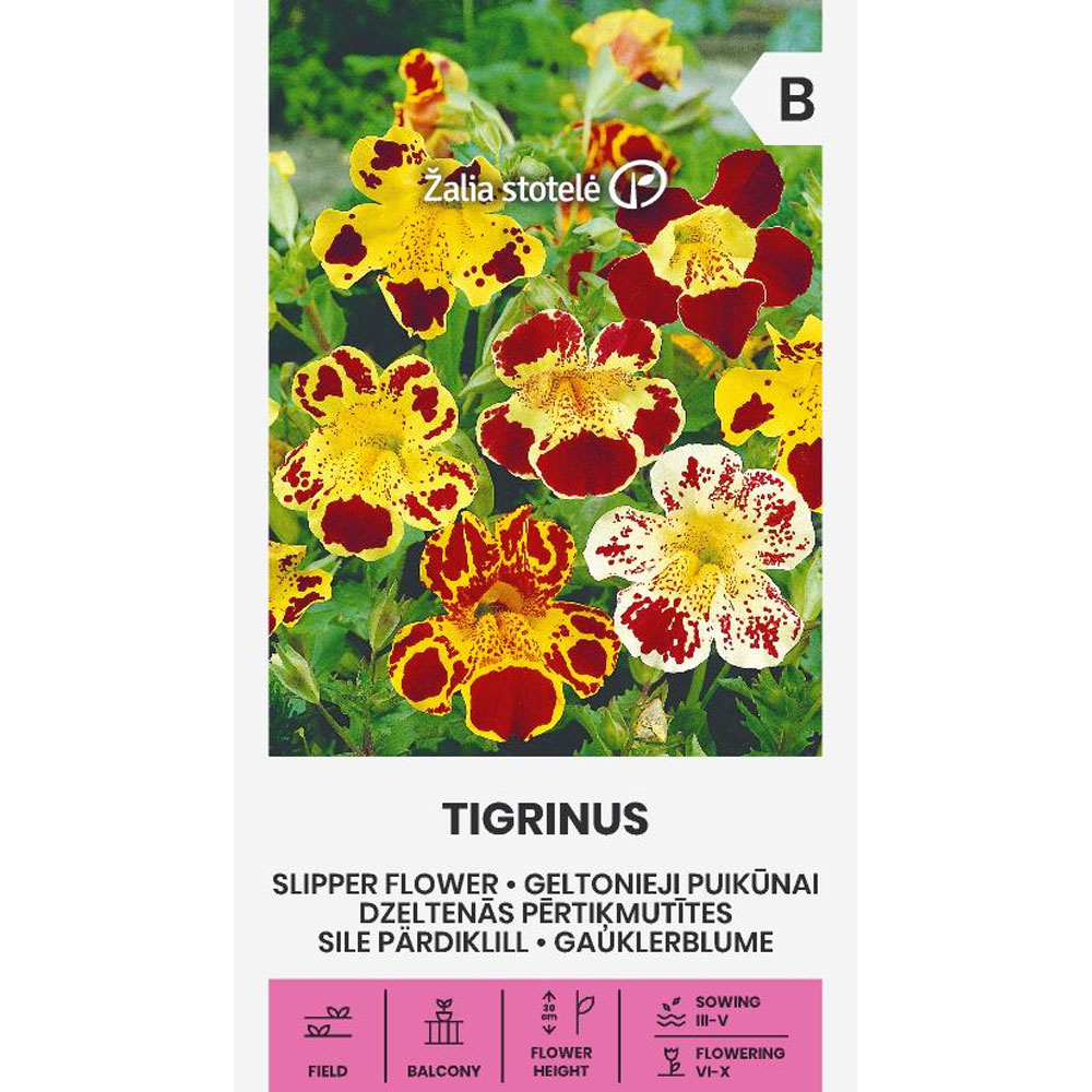 Tigrinus - gyckelblomma