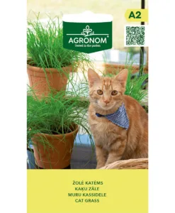 Kattgräs